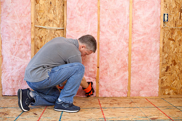 Best Commercial Insulation in Northville, MI