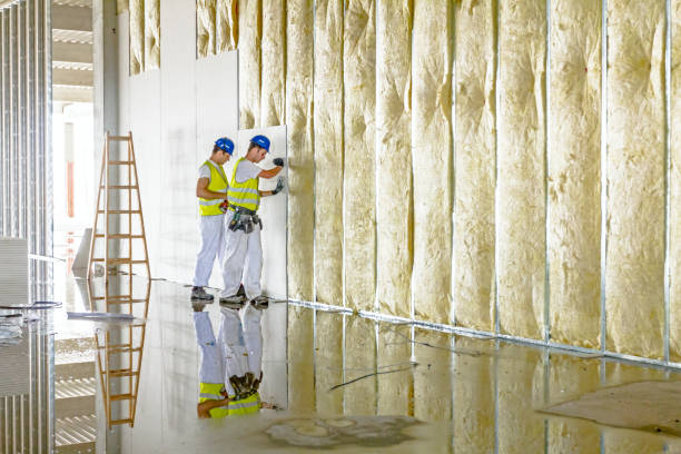 Best Spray Foam Insulation in Northville, MI